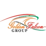 Golden Falcon Group official logo designed by White Gold Digital Marketing (WGDigi) in Bergamo, Italy